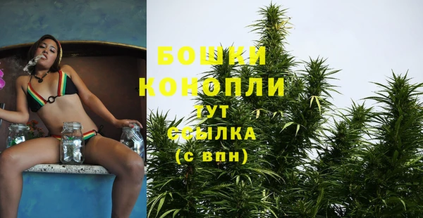 тгк Краснослободск